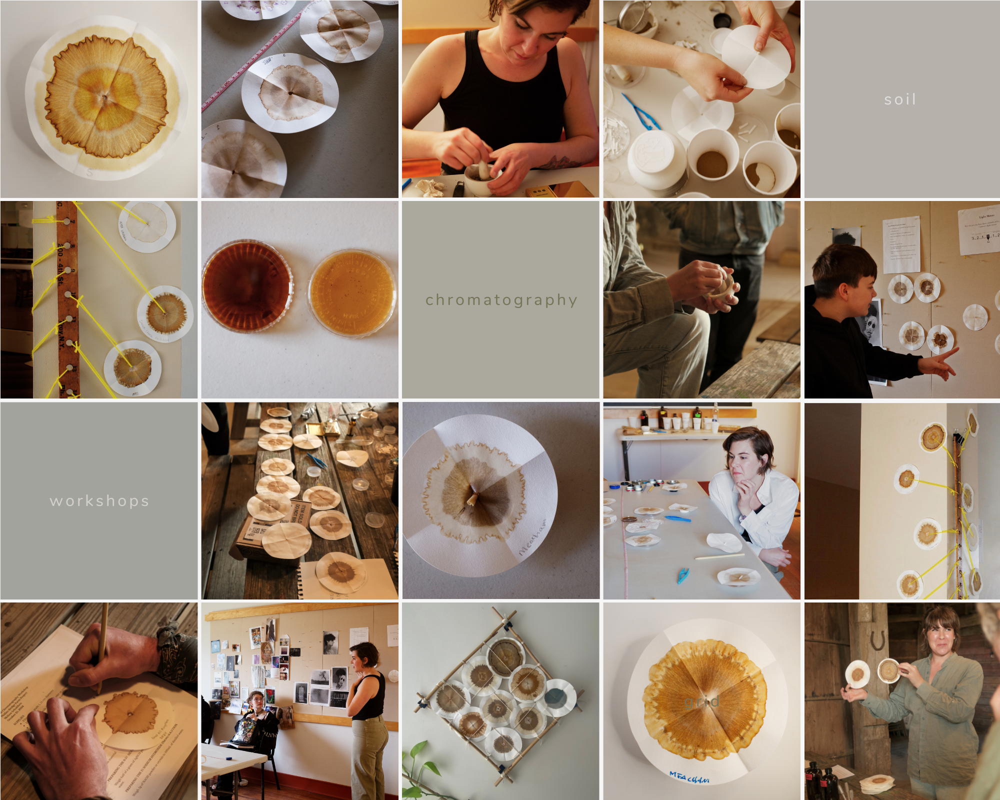 Soil chromatography work samples